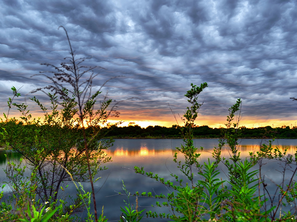 Illinois